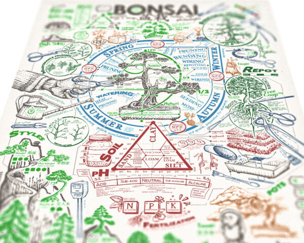 Poster Bonsai - Image 2