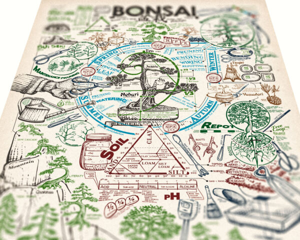 Poster Bonsai - immagine 7