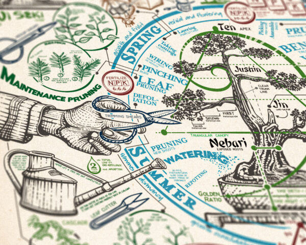 Poster Bonsai - immagine 6