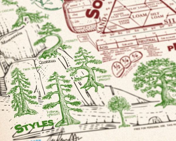 Poster Bonsai - immagine 4