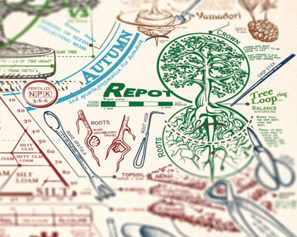 Poster Bonsai - immagine 3