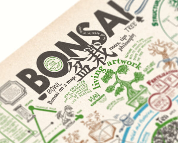 Poster Bonsai - immagine 2