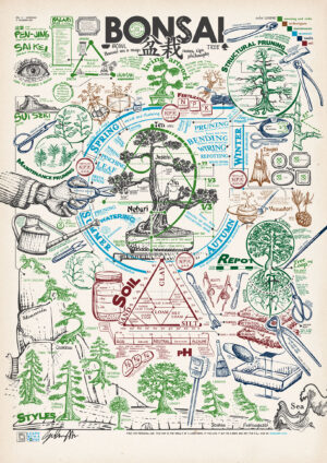 Poster Bonsai