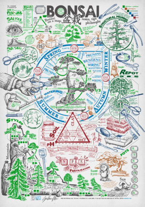 Poster Bonsai